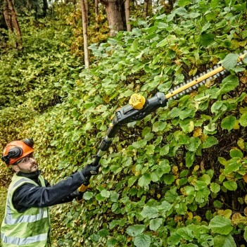 18 Volt Akku-Stabheckenschere 55 cm DCMPH566N-XJ DeWalt