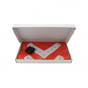 Flèche lumineuse LED FP36 K-SIGN 36 LED rouges Prolutech
