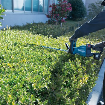 Taille-haies 18V LXT 75cm DUH751 Makita