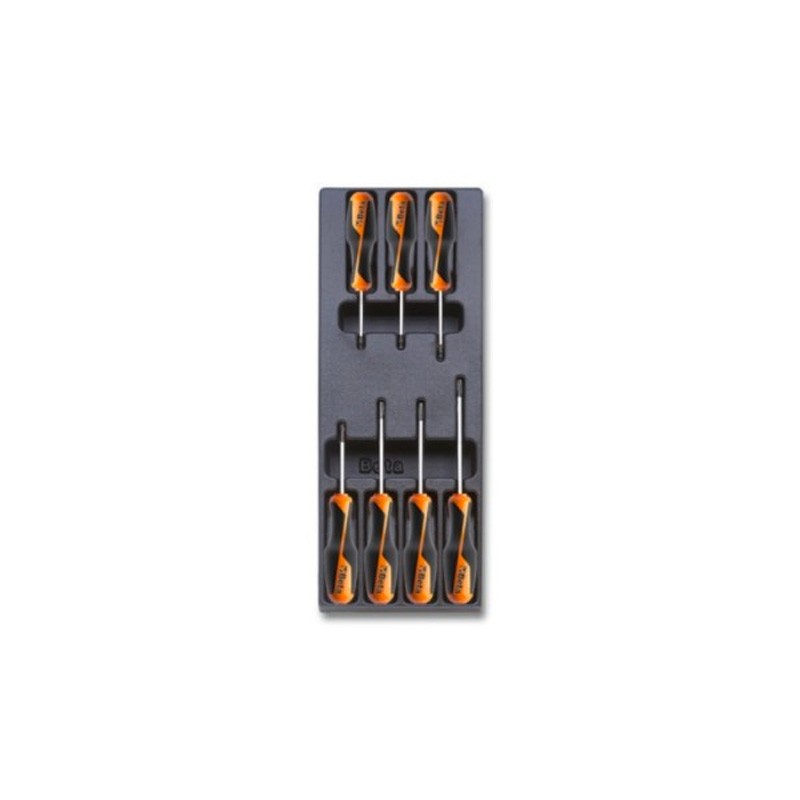Thermoformateinsatze / Platte Torx-Schraubendreher T205 Beta