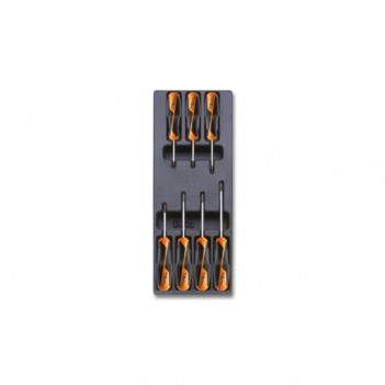 Insert / Plateau thermoformé tournevis Torx T205 Beta