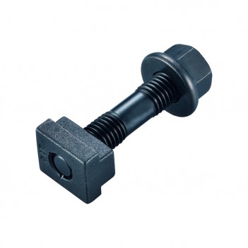 T-Nutenstein NW16 Proton