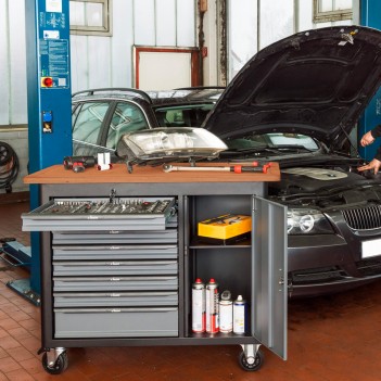 Servante d'atelier L avec porte 298 outils pour camion / tracteur V4813/NKW Vigor