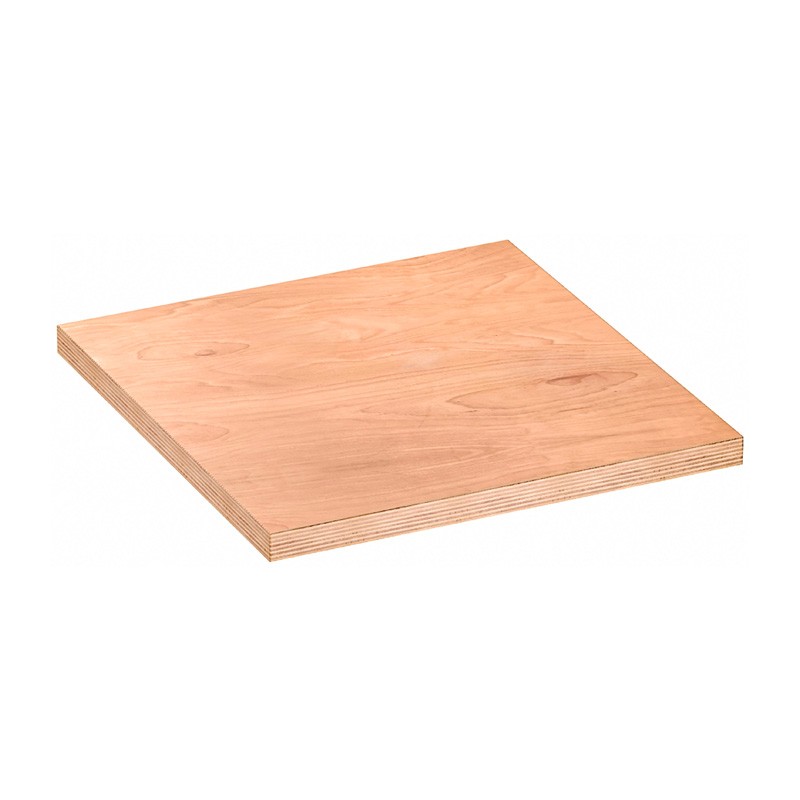 Arbeitsplatte aus Holz 700mm (7 Größen) V6000 Vigor